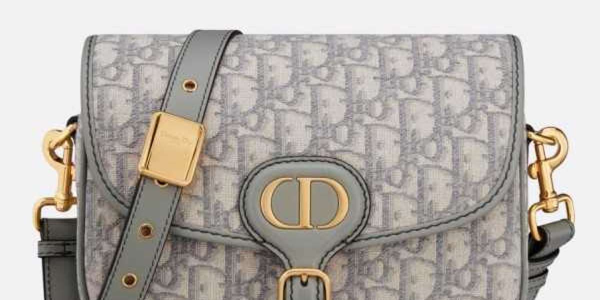 dior bags sale and transitions