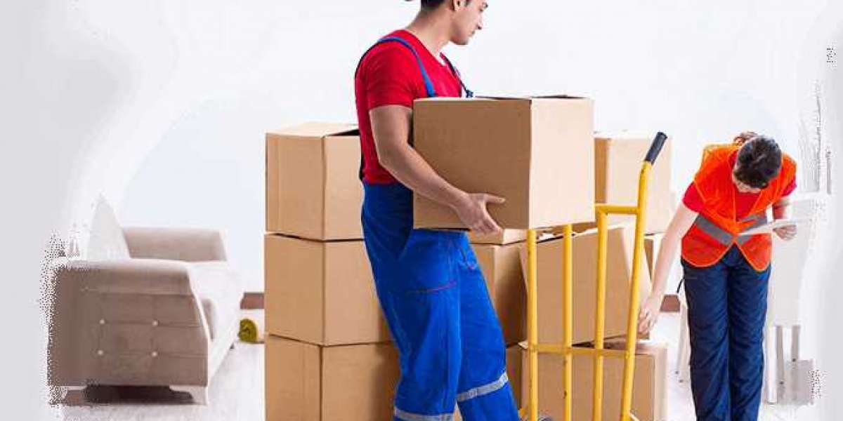 Few things that professional movers and packers Bangalore offer to their clients!