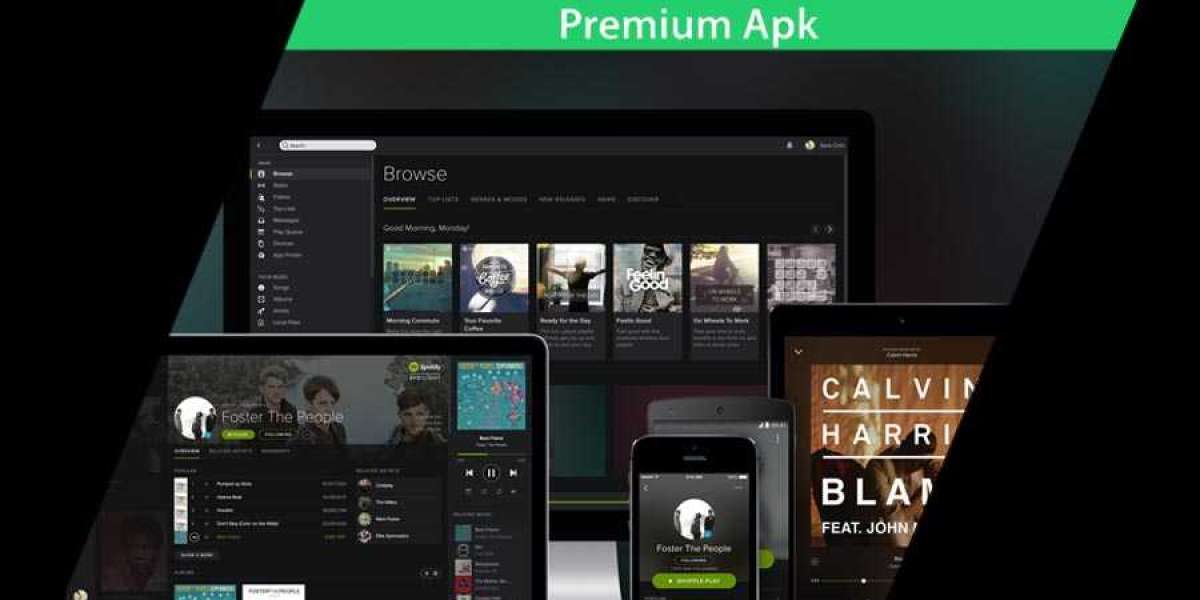 What Experts Think About Spotify Premium Apk?