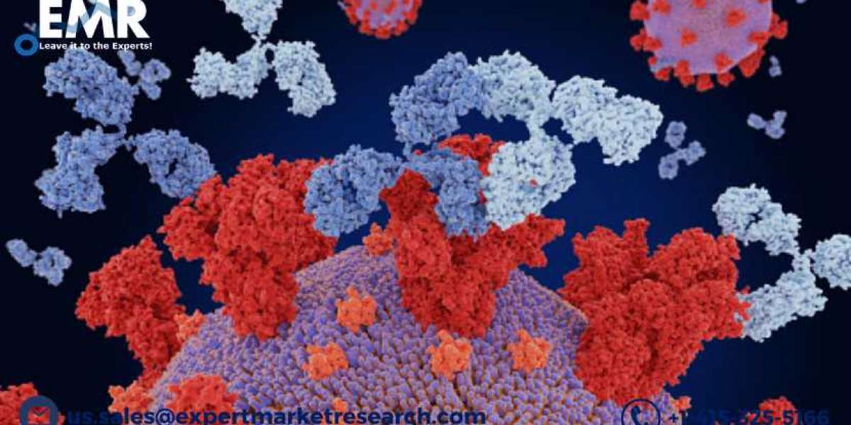 Immunoglobulin Market Size, Share, Price, Trends, Growth, Analysis, Outlook, Report, Forecast 2022-2027