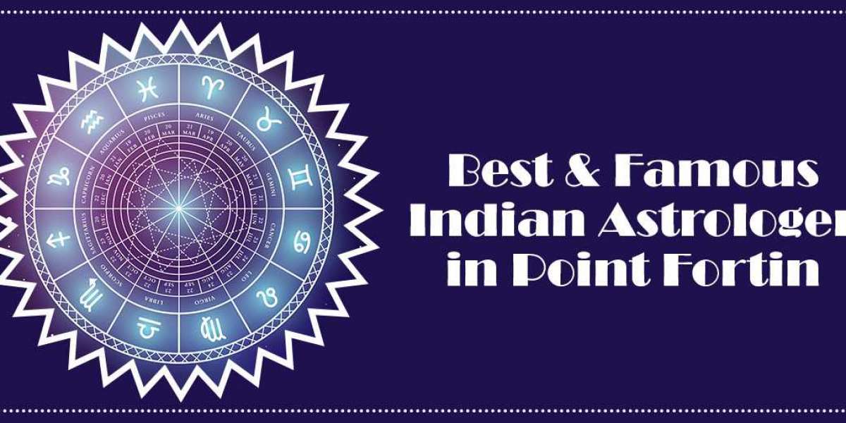 Best Indian Astrologer in Point Fortin | Famous Black Magic