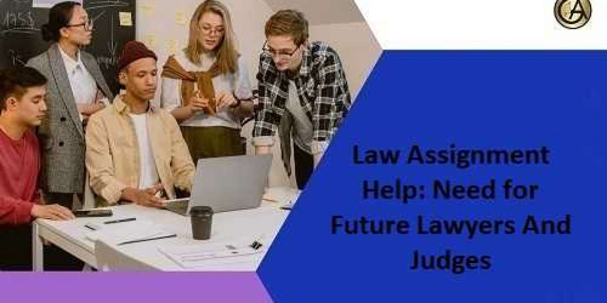 Law Assignment Help: Need for Future Lawyers And Judges