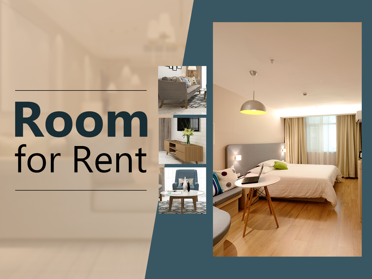 Are You Looking For A Room For Rent | Apartment For Rent?
