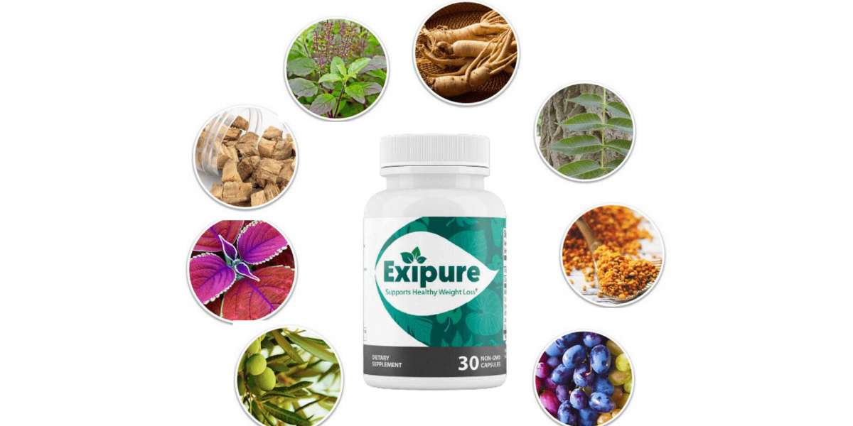 Exipure Reviews (New Report) – Can You Really Get Slim Without a Weight Loss Diet?