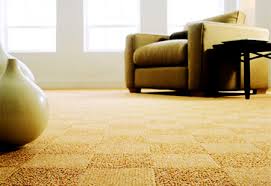 Water Damage Carpet Melbourne | Steam Cleaning Hawthorn