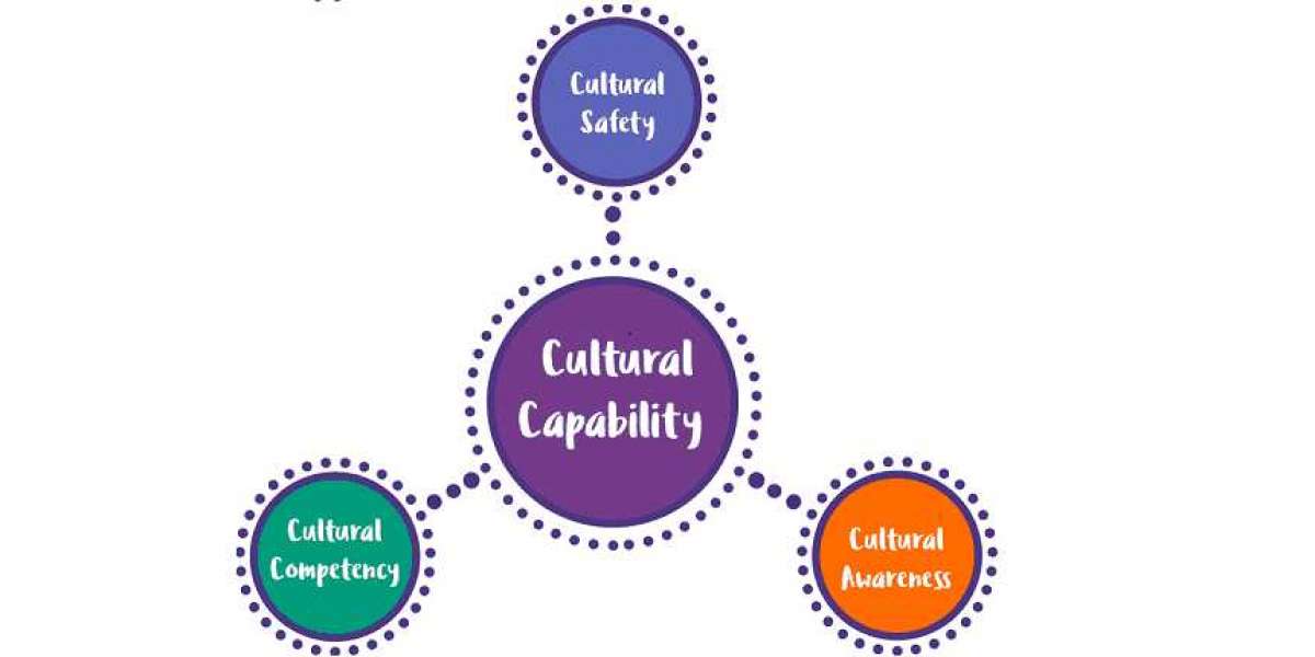 Cultural Safety Assignment Help Services