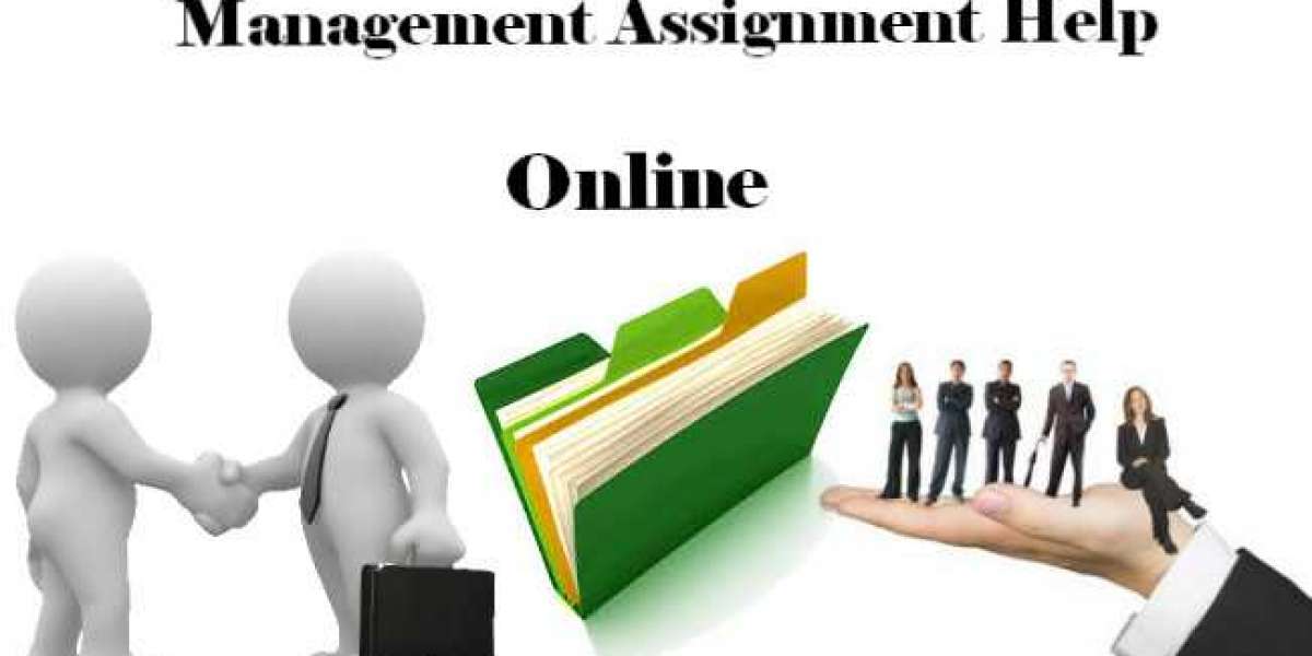 Management Consulting Assignment Help Services