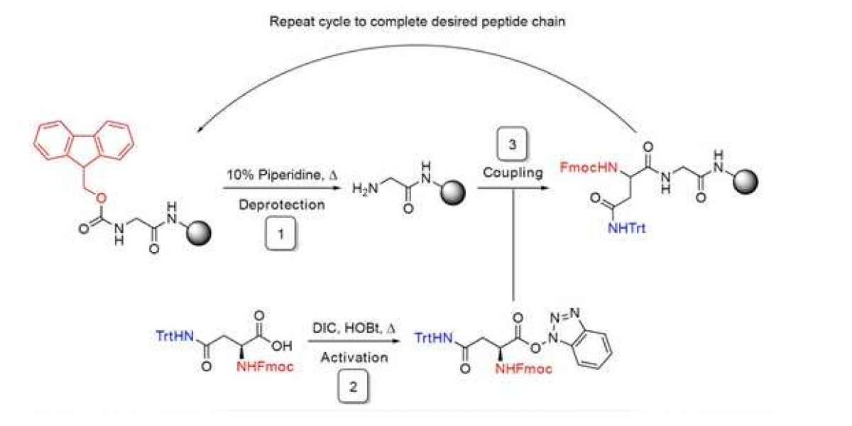 Peptide Synthesis Market Research Report 2021 Forecast 2030