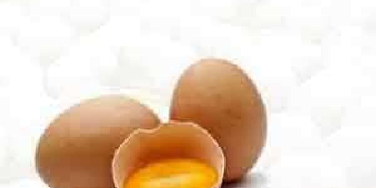 Processed Egg Market to grow in future by size, developments, trends by 2029