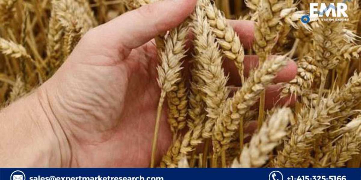 Wheat Seed Market Price, Size, Share, Trends, Growth, Analysis, Report, Forecast 2022-2027