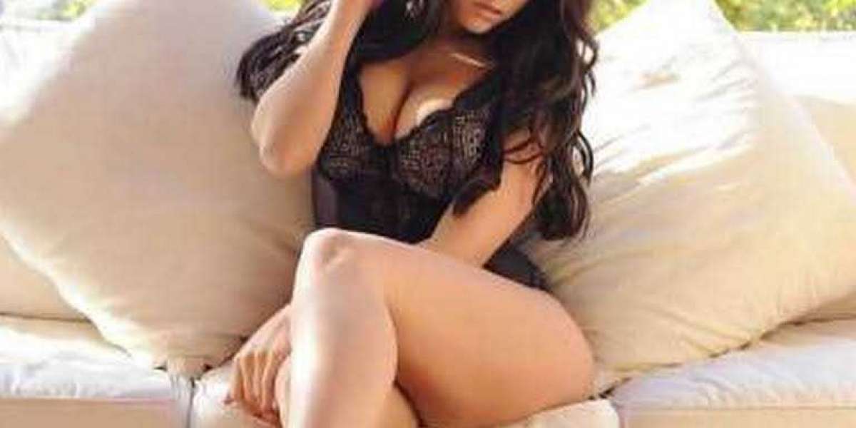 How to get Independent Sikar Escort Service with high profiles?