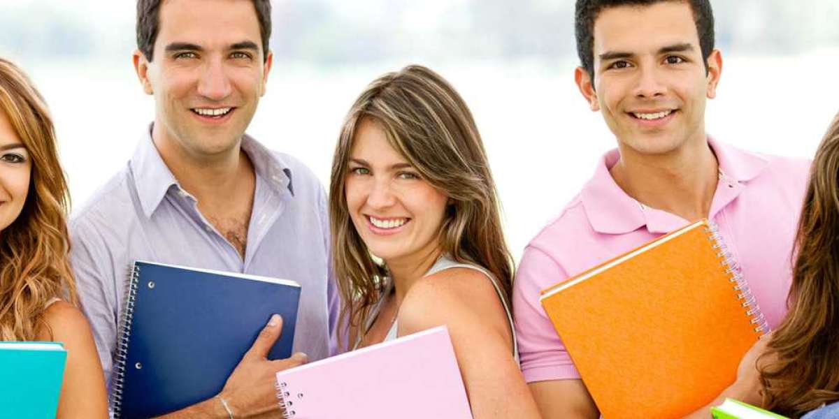 Get EViews Assignment Help in USA From Ph.D. tutors