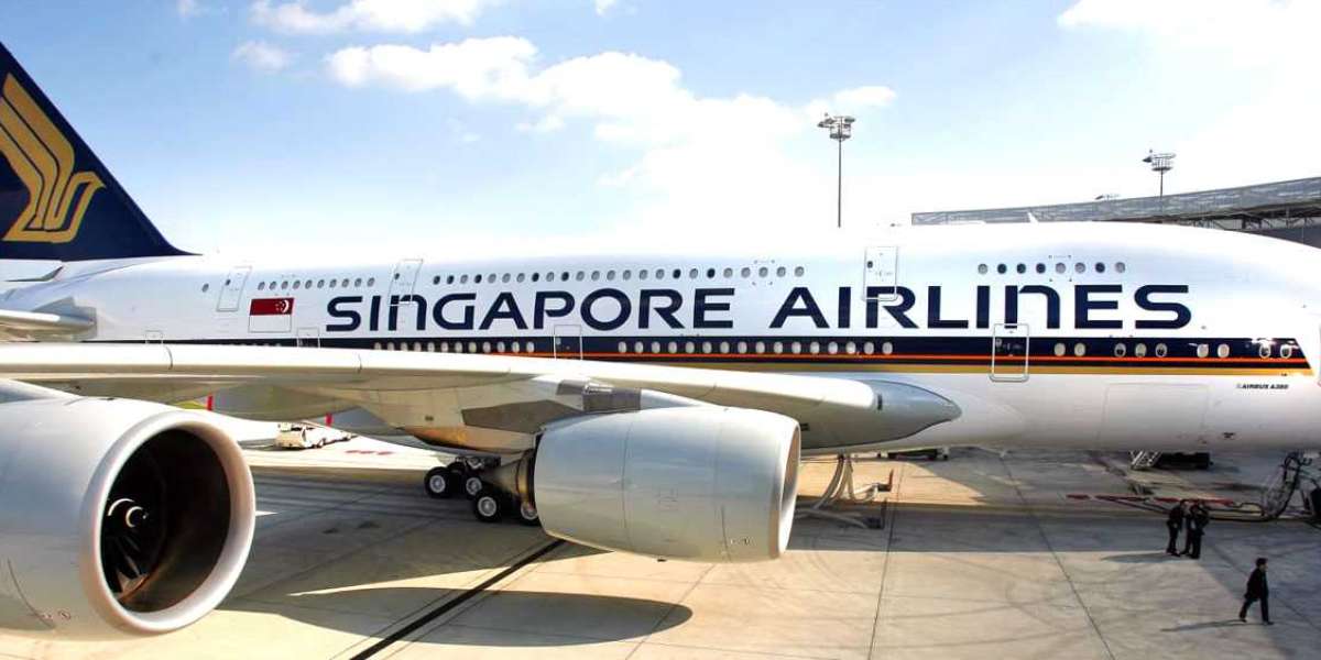 Does Singapore Air Have a 24-Hour Cancellation Policy?