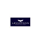 Leviathan Financial Management LLC