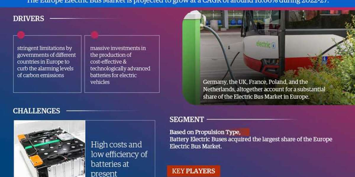 Europe Electric Personal Car Market Leading Player 2022-2027