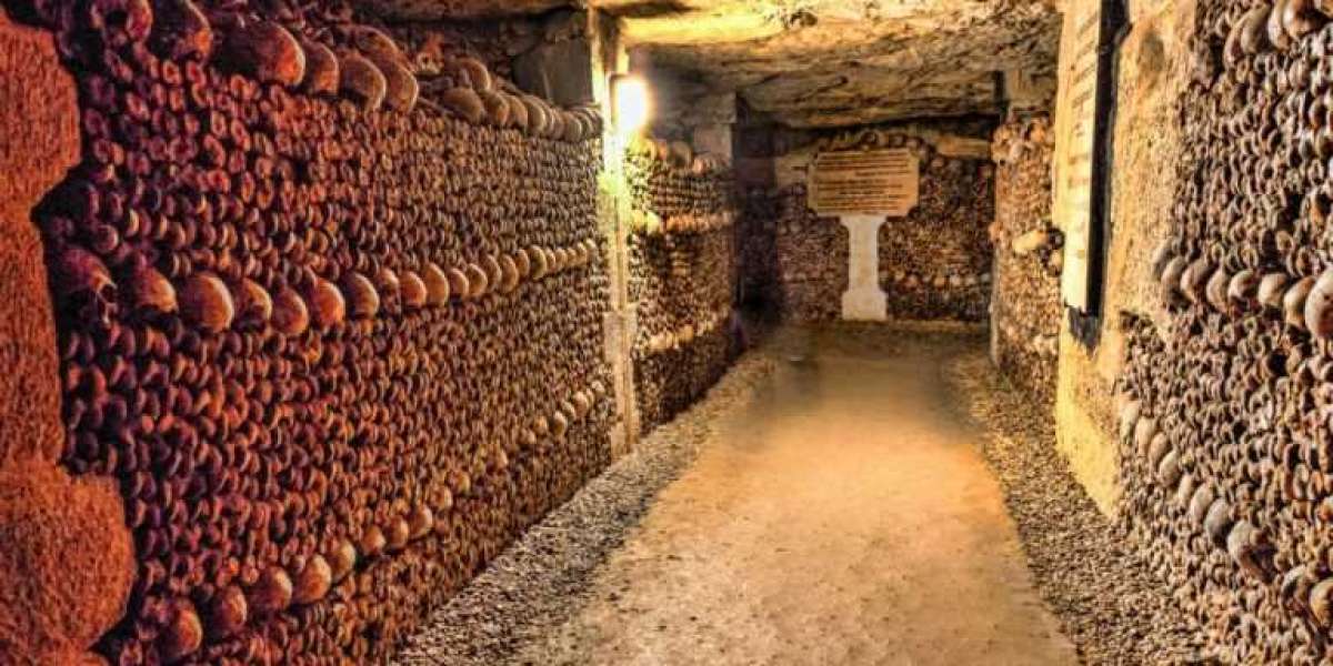 Booking Your Paris Catacombs Tour in 2023: What You Need to Know