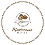 Mushrooms Home