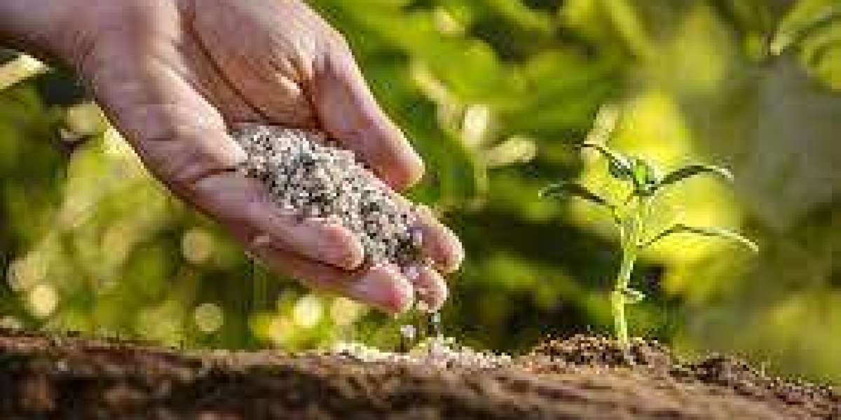 Nutrients and Micronutrient Fertilizers Market Emerging Trends and Global Demand 2022 to 2028