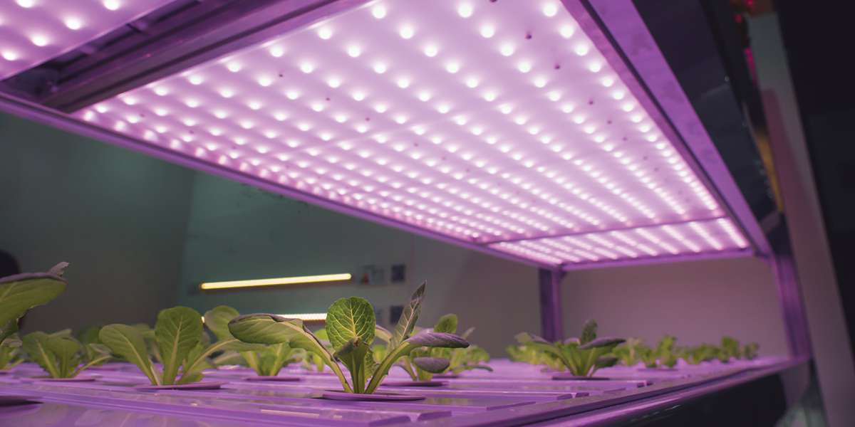Horticulture Lighting Market Research Report 2021 Forecast 2030