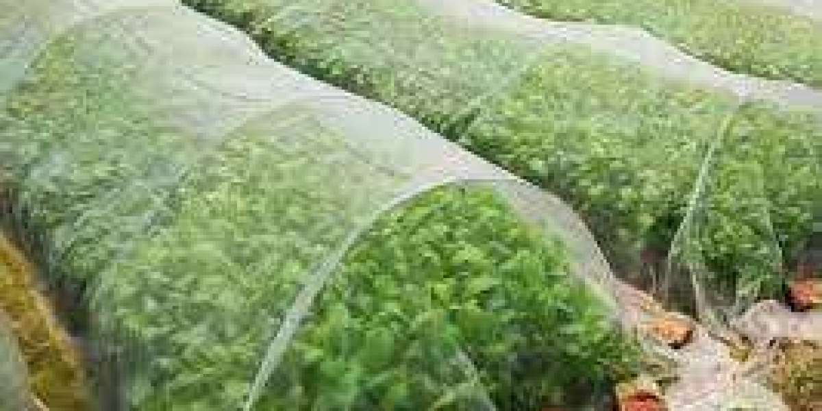 Agriculture Textile Market  Current Scope and Forecast till 2029