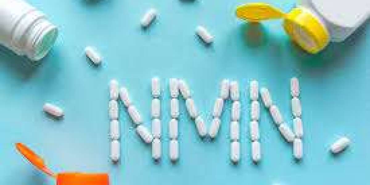 Nicotinamide Mononucleotide (NMN) Market Key Segments and Forecast 2029