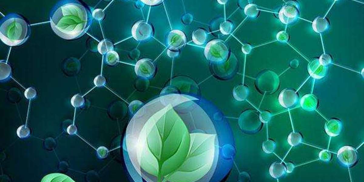 Bio Based Paraxylene Market Trends, Strategies and Forecast to 2029