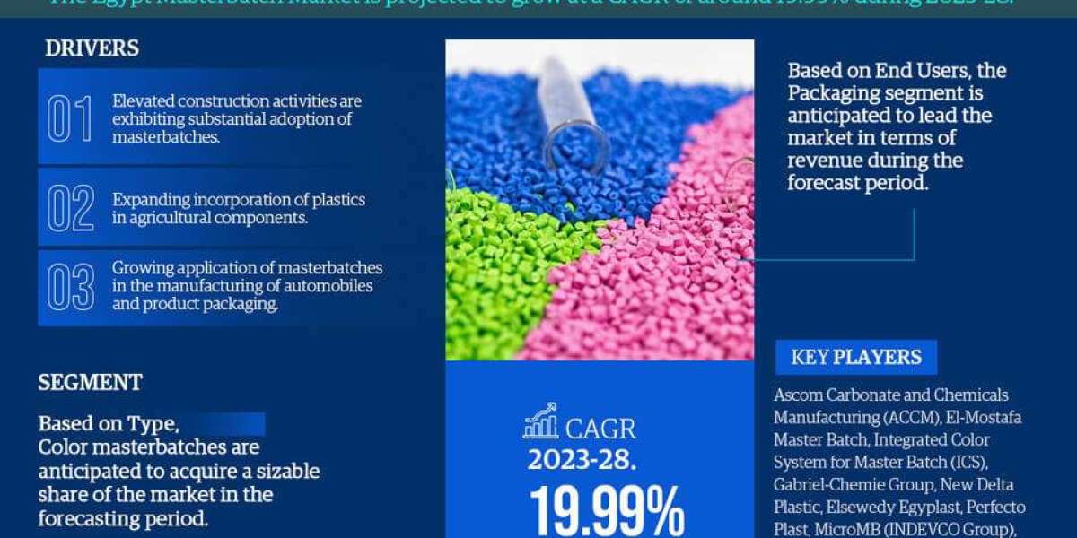 Egypt Masterbatch Market Analysis: Projected 19.99% CAGR by 2028, Exploring Size, Share, and Future Growth