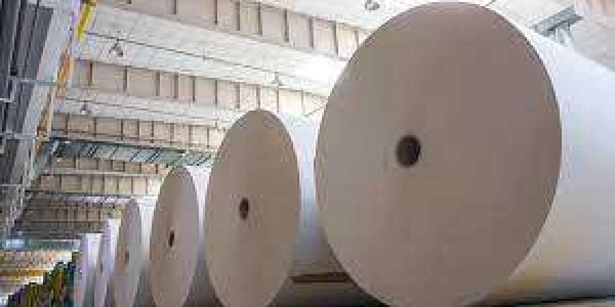 Pulp and Paper Market Share, Trends and Outlook 2029