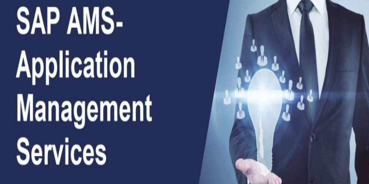 SAP Application Management and Support Services