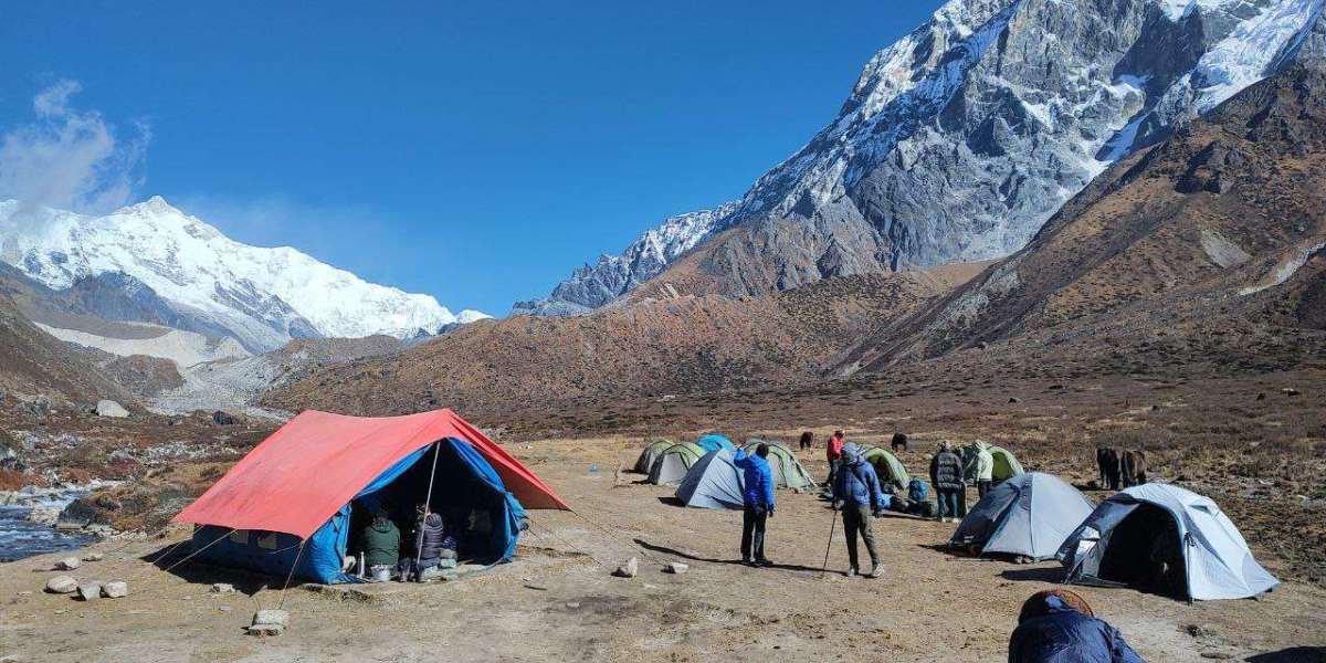 Goechala Trek: Journey to Kanchenjunga's Doorstep