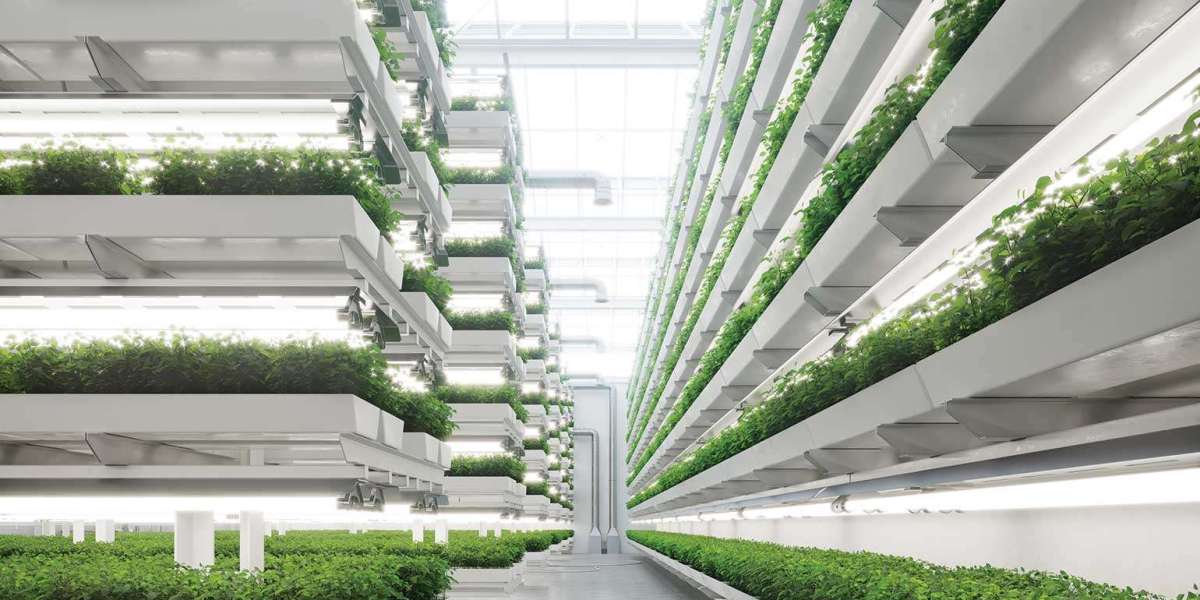 Vertical Farming  Market Will Grow at a Healthy CAGR by 2030 Along with Top Key Players