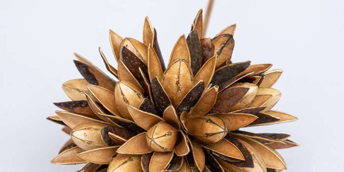 10 Beautiful Ways to Style Dried Flowers and Pampas Grass