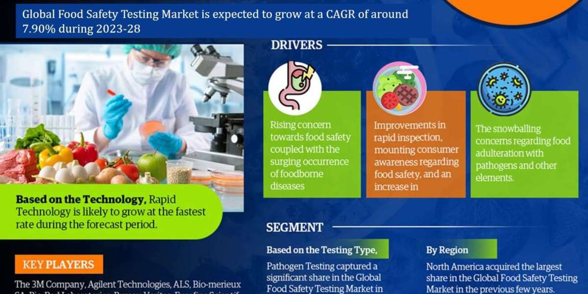 Market Projection: 7.90% CAGR Expected in Food Safety Testing Market by 2028, Assessing Size, Share, and Future Growth