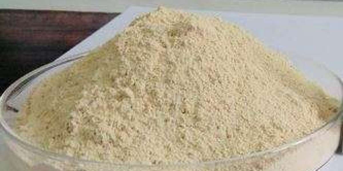 Ferric Phosphate Market Share and Global Forecast to 2029
