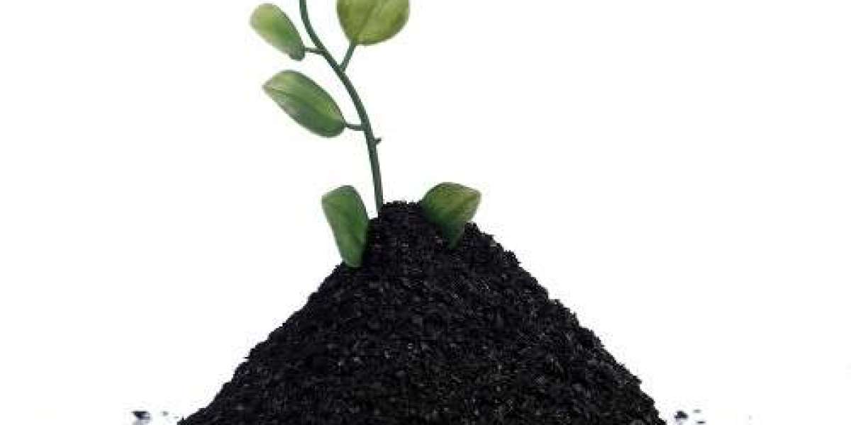 Humic Acid Market Will Grow at a Healthy Cagr by 2030 Along with Top Key Players
