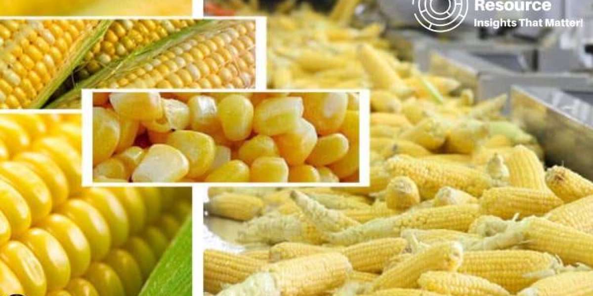 Corn Processing Production Cost Analysis Report, Manufacturing Process, Raw Materials Requirements, Costs and Key Proces