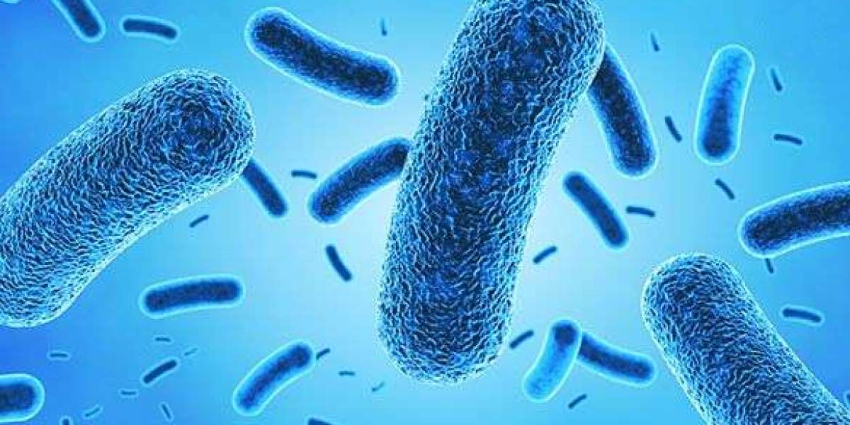 Antimicrobial Coatings Market Growth and Forecast 2029