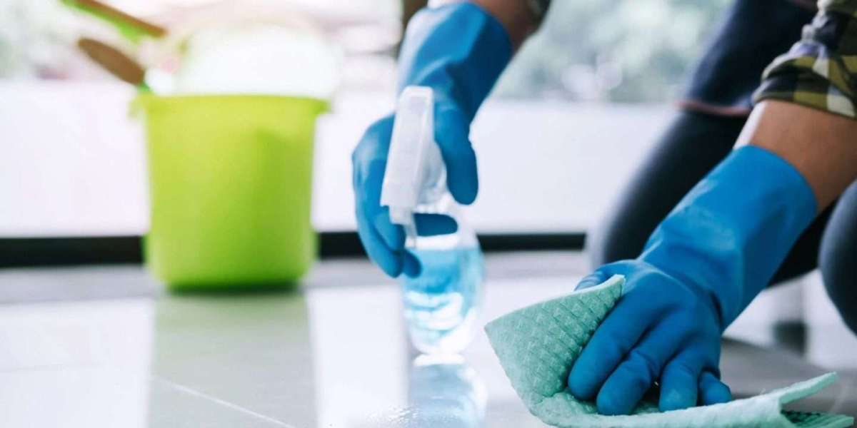 Sanitizing Agents Market Trends and Segment Forecast to 2029