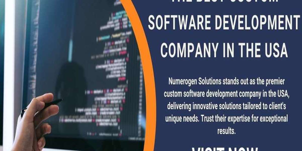 Which Indian companies offer the best custom software development services in the USA?