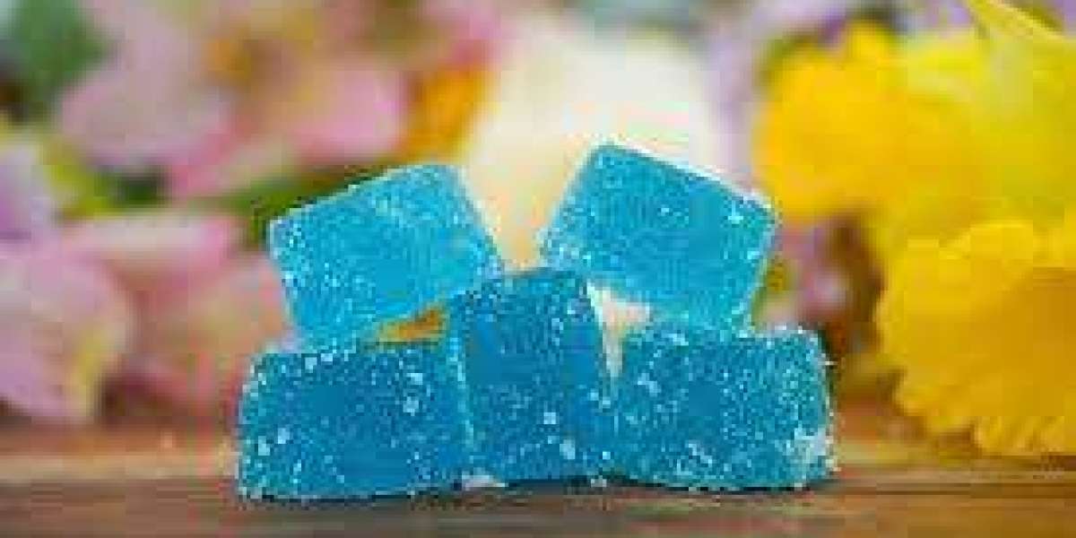 Sera Labs CBD Gummies Supplement