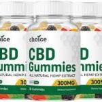 Choice CBD Gummies