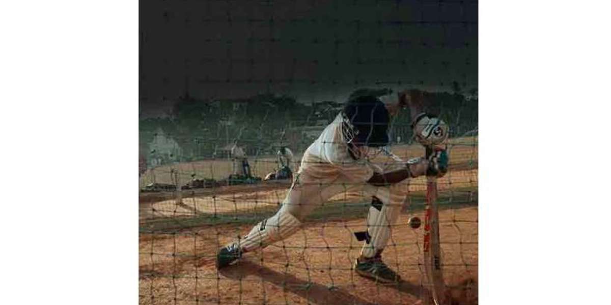 The Convenience and Advantages of Online Cricket Betting IDs