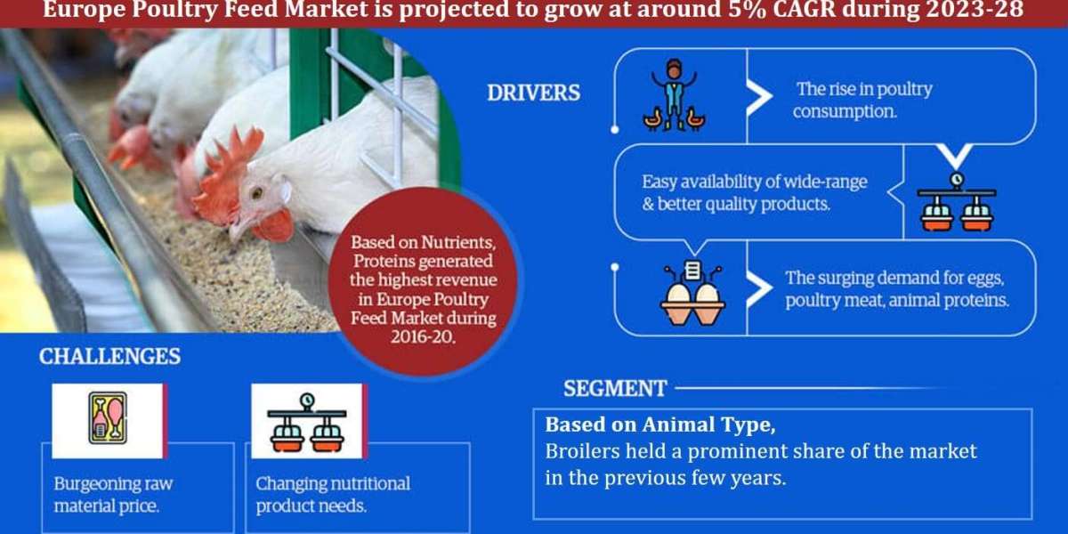 Europe Poultry Feed Market Analysis: Projected 5% CAGR by 2028, Exploring Size, Share, and Future Growth