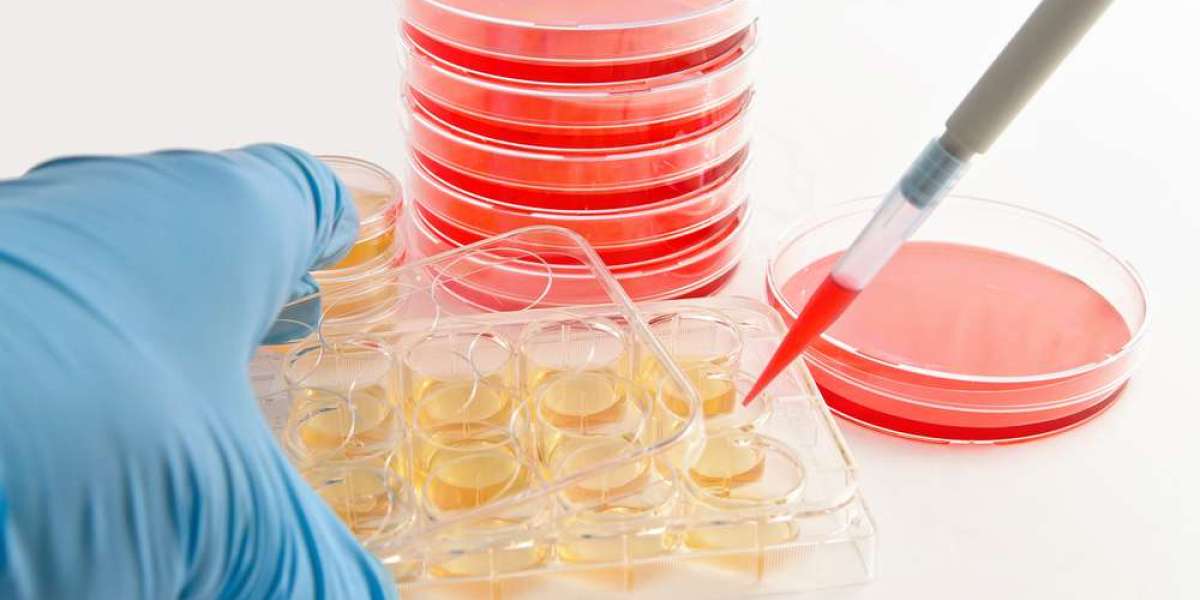 Increasing Healthcare Expenditure to Trigger Growth in Automated Cell Culture Market Share