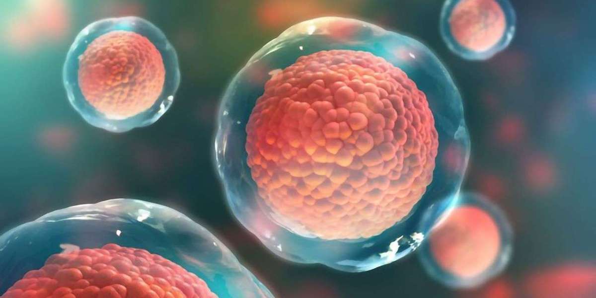 Global Primary Cells Market Share & Upcoming Industry Growth | Report Covers Industry Insights on Regional Competiti