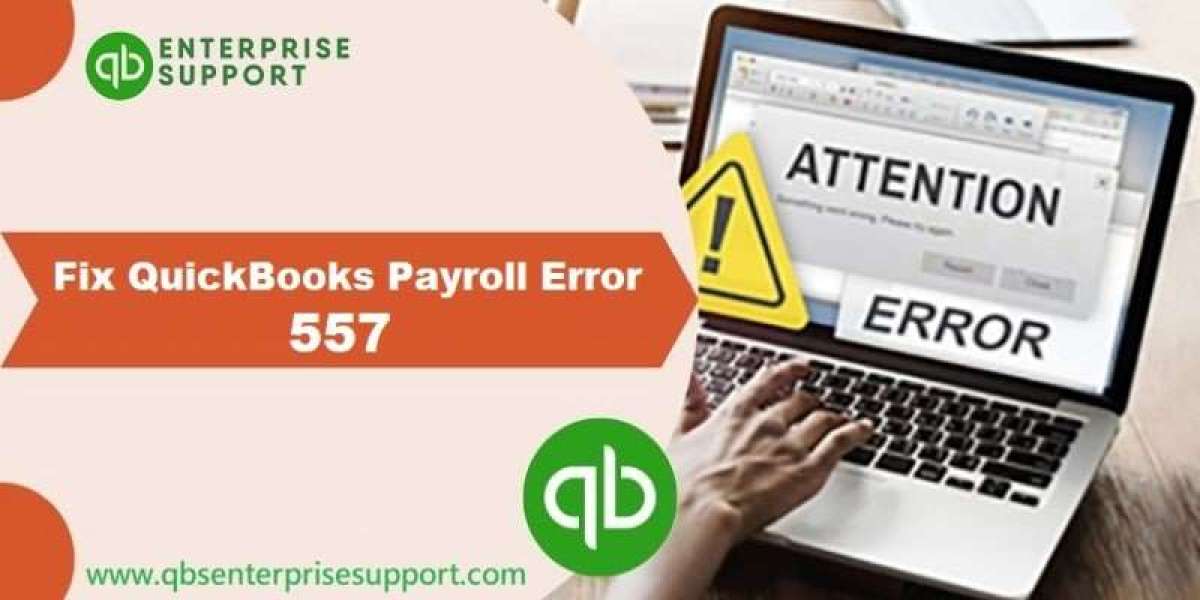 Methods to Troubleshoot QuickBooks Error Code 557