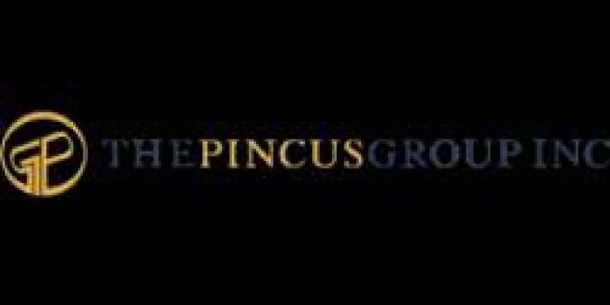 The Pincus Group Inc: Enhancing Presentation Skills for Success
