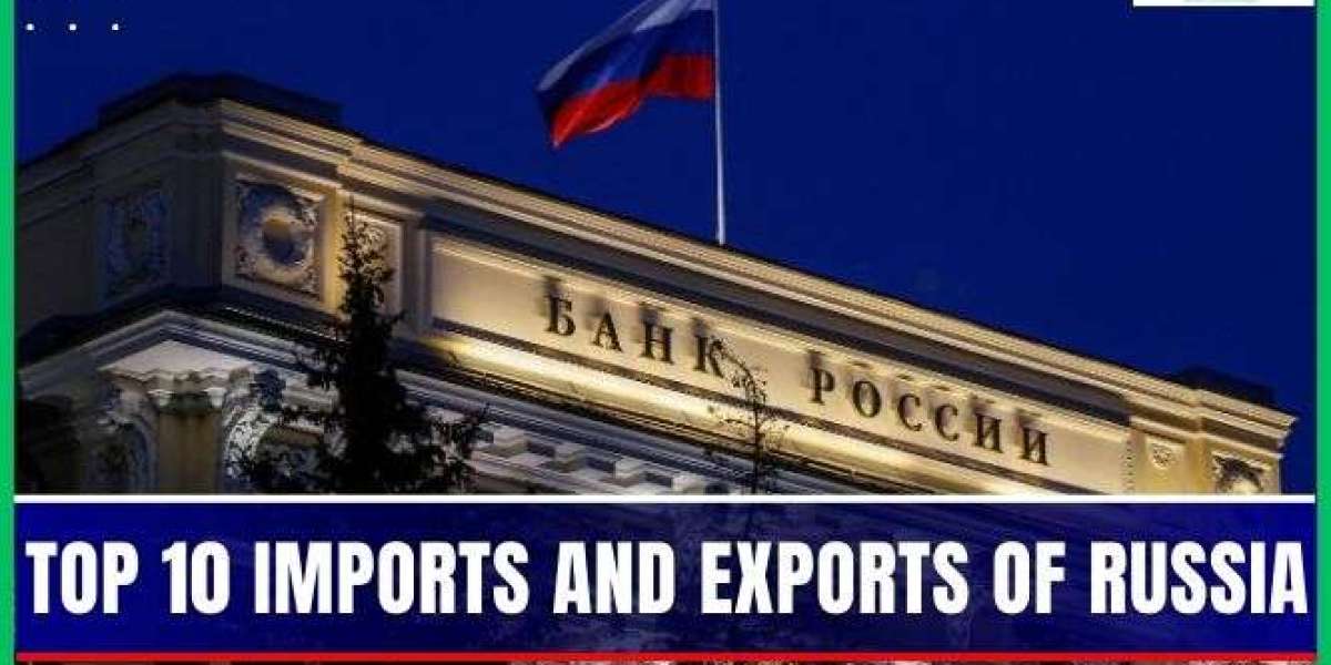 Which products are the most often imported into Russia?