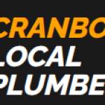 Local Plumber Cranbourne