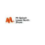 Mr Splash Plumbing Lower North Shore